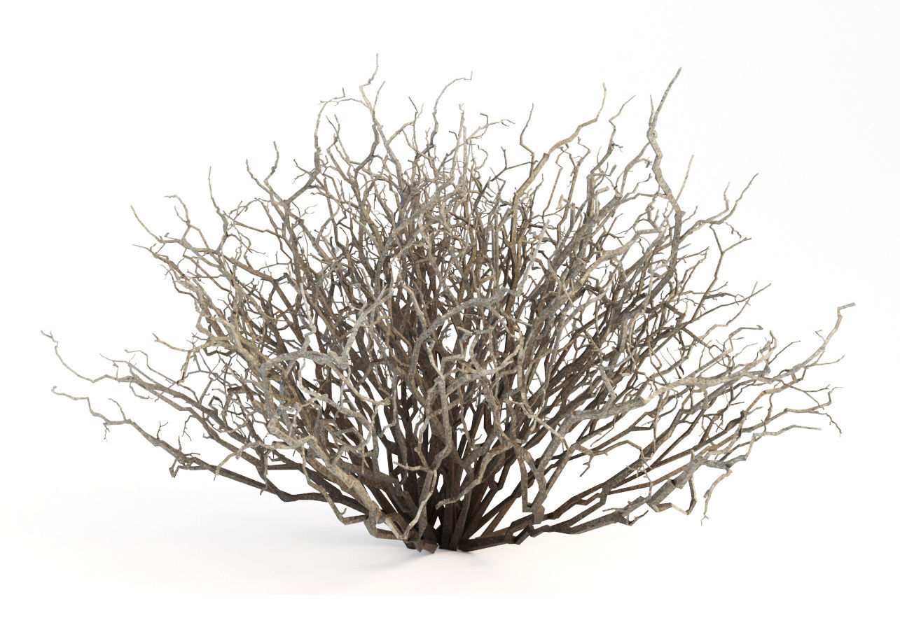 Sagebrush branch of twigs 3D model_4