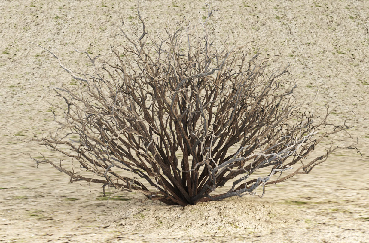 Sagebrush branch of twigs 3D model_14