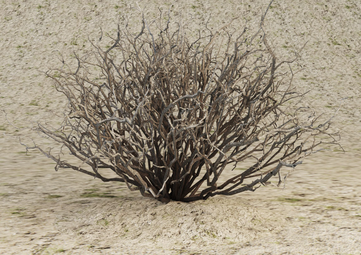 Sagebrush branch of twigs 3D model_12