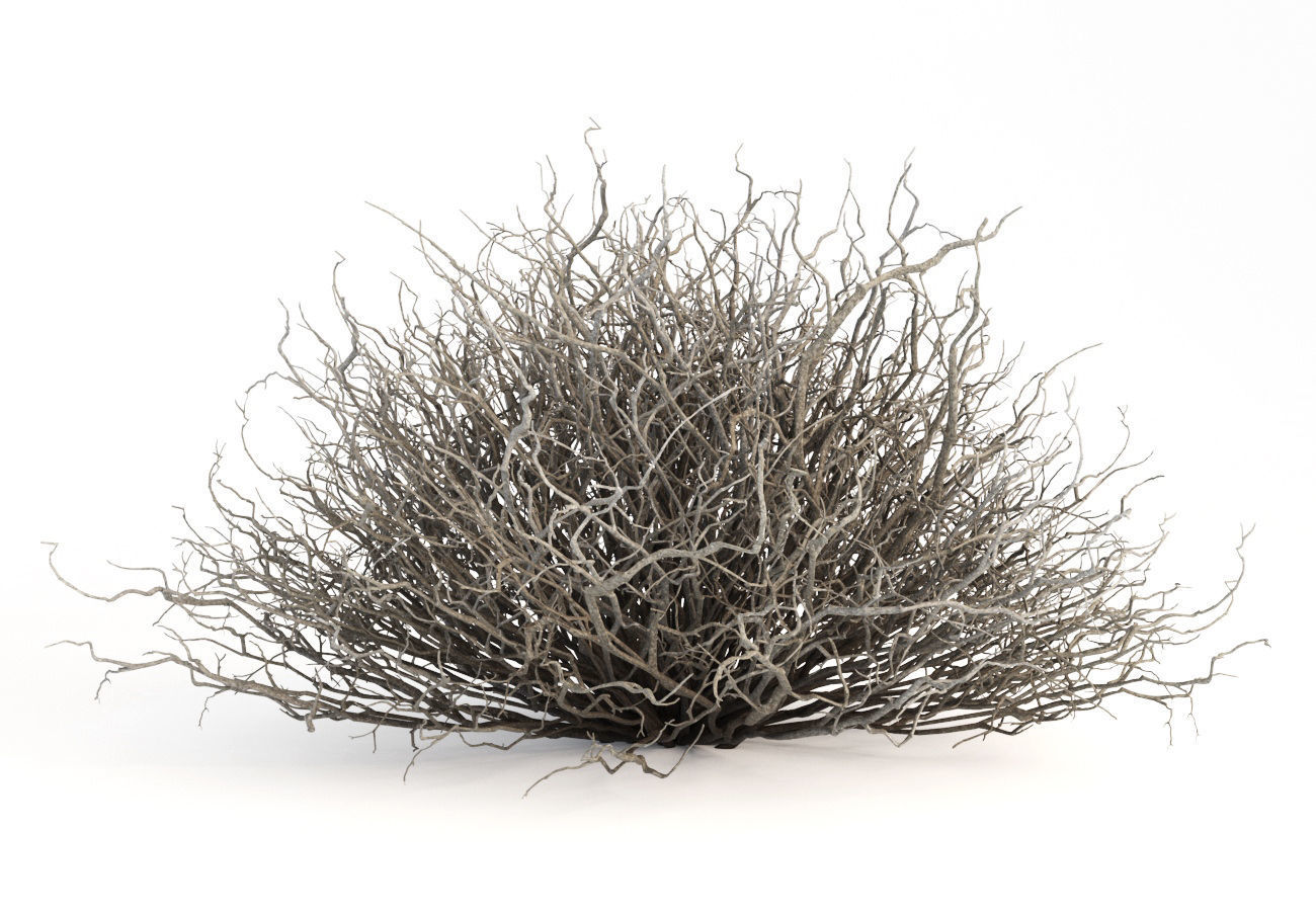Sagebrush branch of twigs 3D model_9