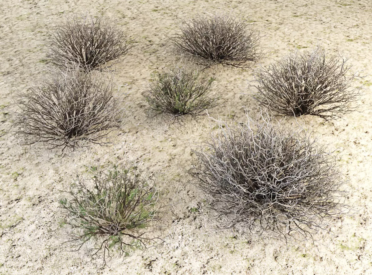 Sagebrush branch of twigs 3D model_0