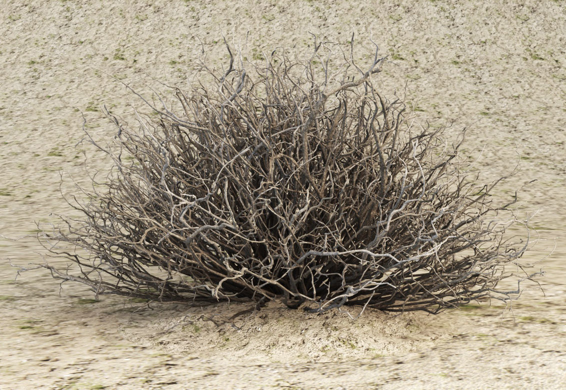 Sagebrush branch of twigs 3D model_13