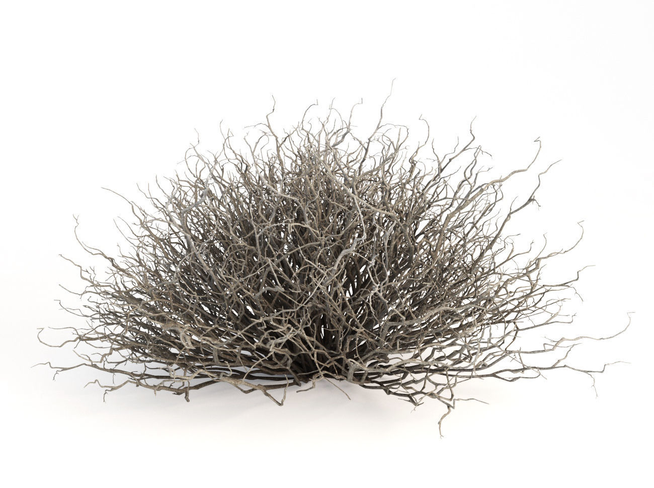 Sagebrush branch of twigs 3D model_10