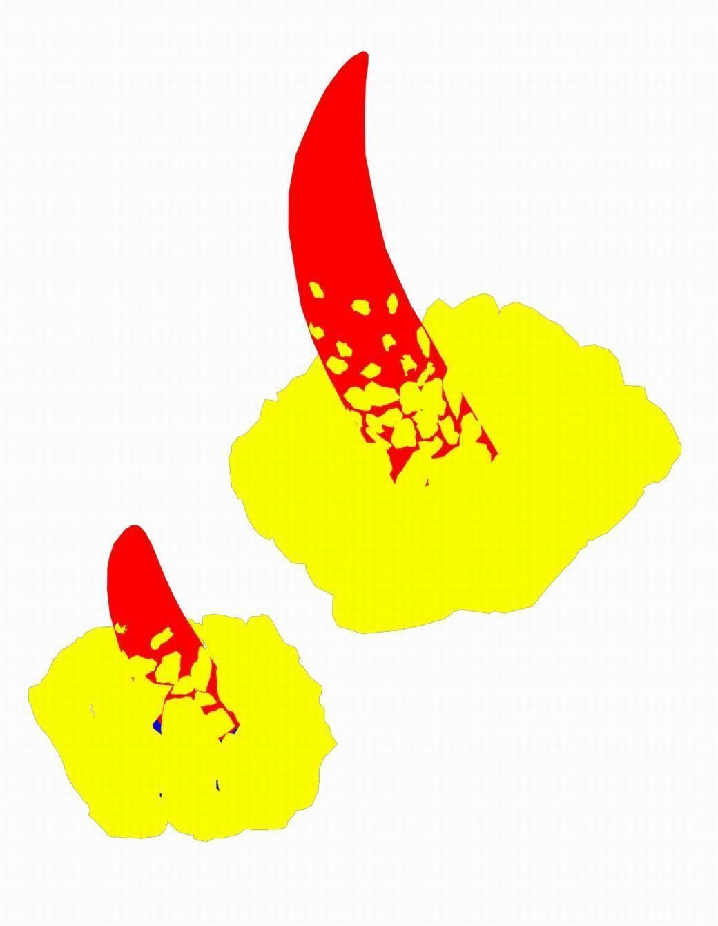 The main city of the dragon - teeth outside the city 3D model_1