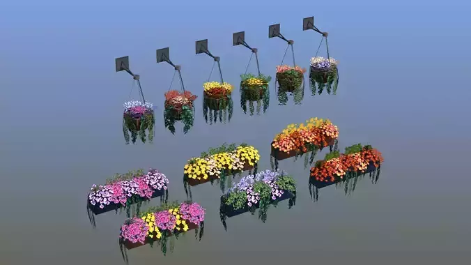 Flower Baskets and Boxes