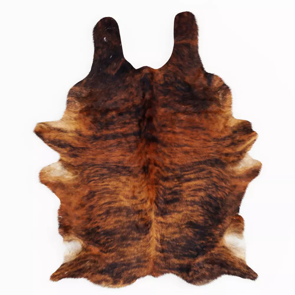 Brown Cow Hide Rug 3D model_0