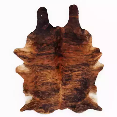Brown Cow Hide Rug 3D model