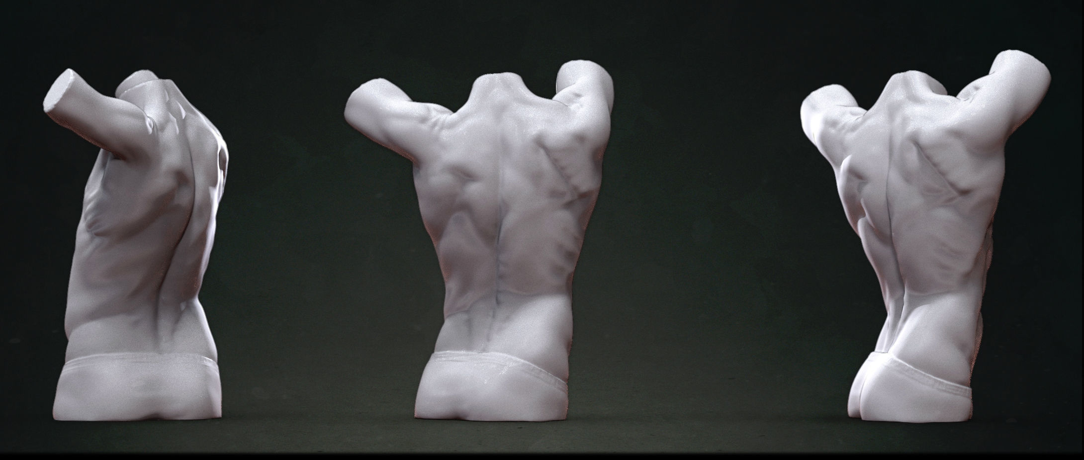 Male Torso Sculpt 3D model_1