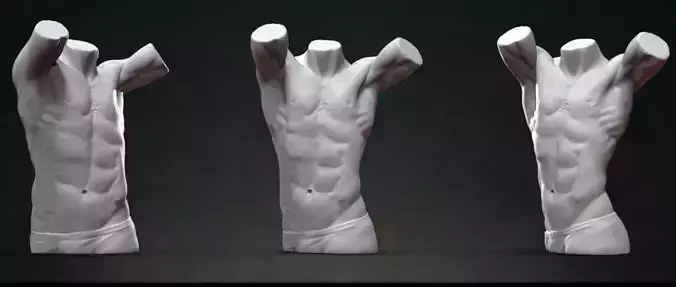 Male Torso Sculpt 3D model
