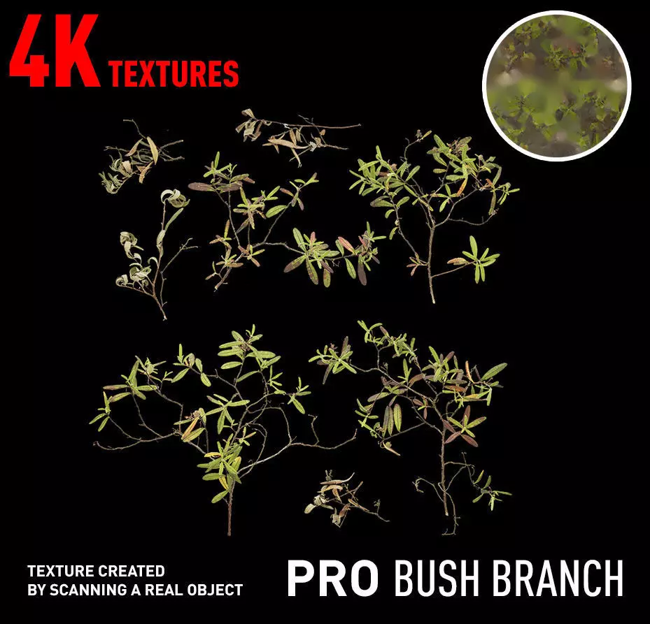 PBR Bush Branch 4K Professional Textures Texture_0