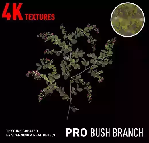 PBR Bush Branch 4K Professional Textures