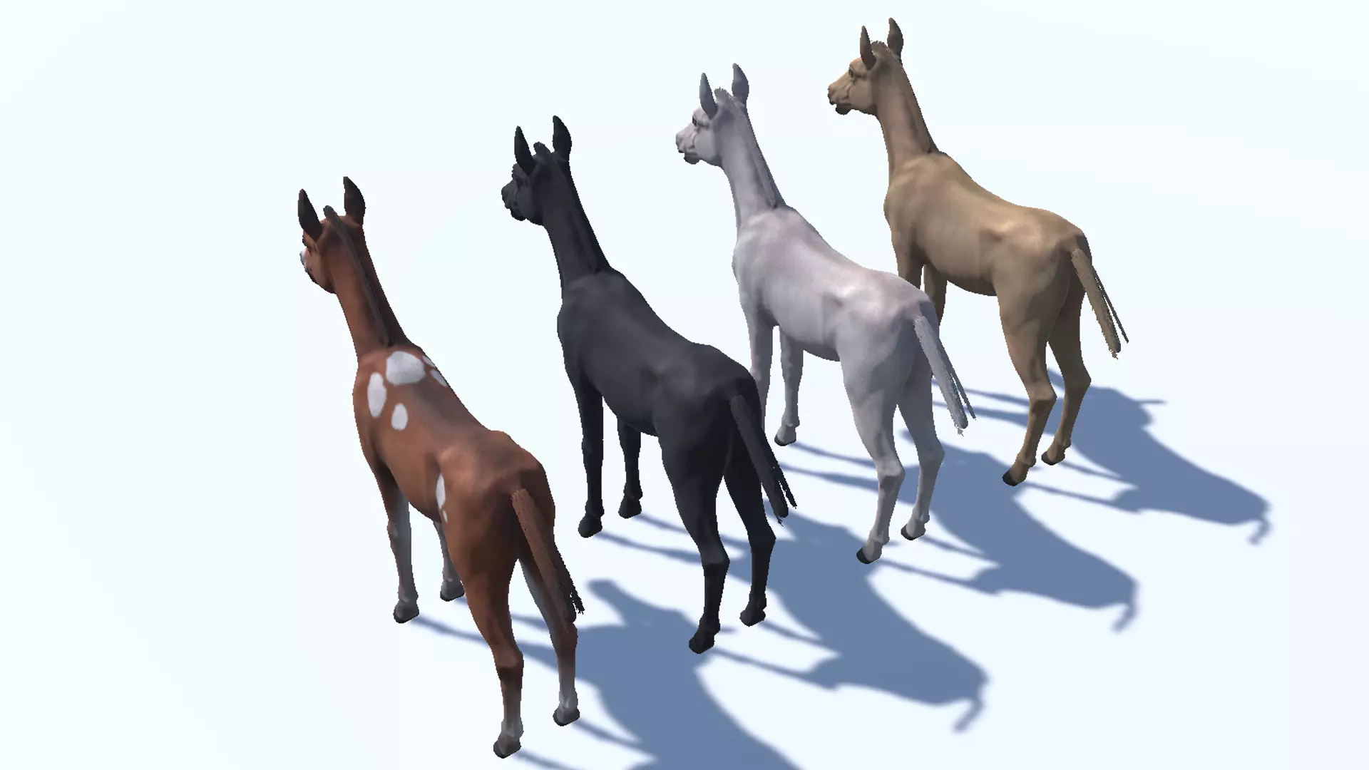 Horse - Foal Low-poly 3D model_12