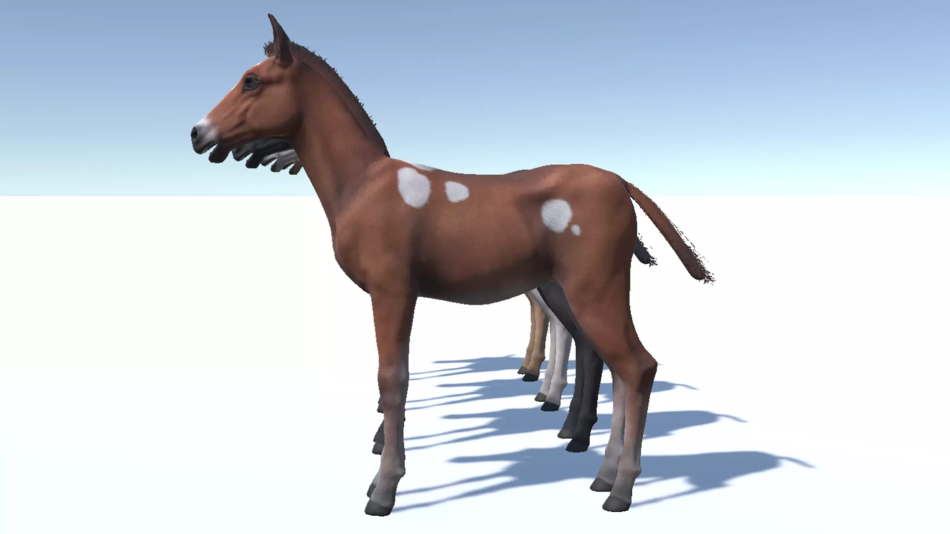 Horse - Foal Low-poly 3D model_11