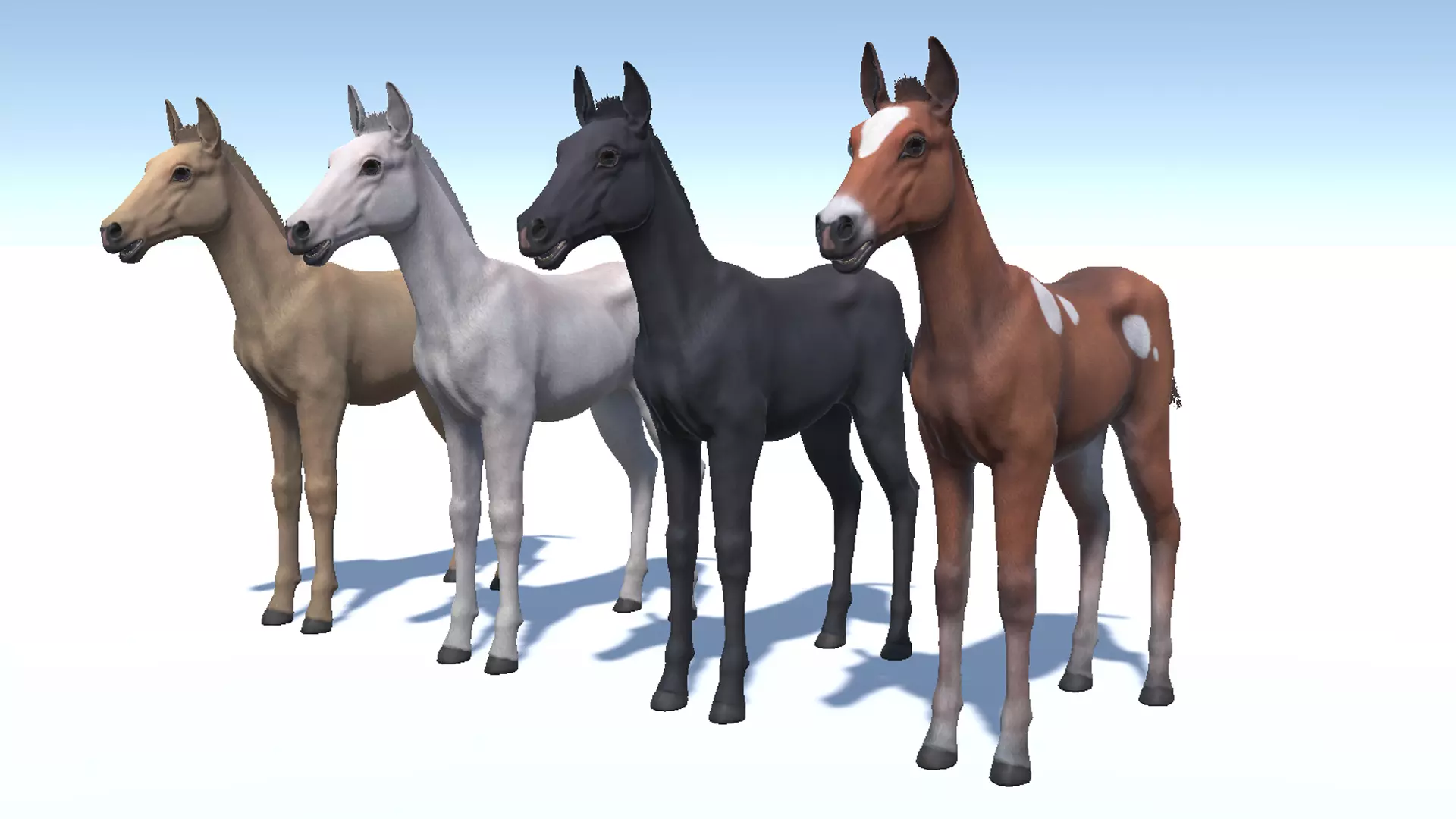 Horse - Foal Low-poly 3D model_7