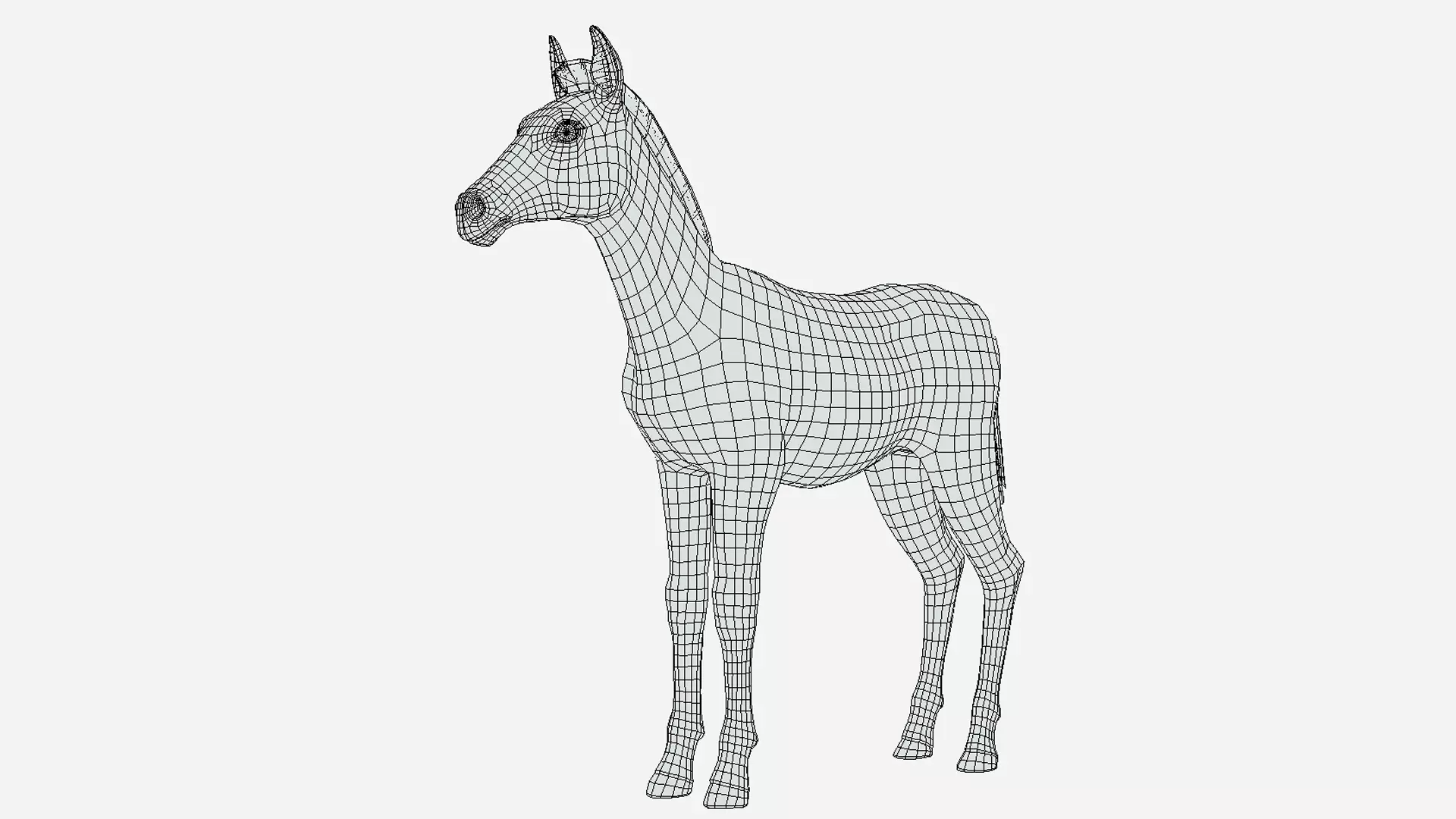 Horse - Foal Low-poly 3D model_14