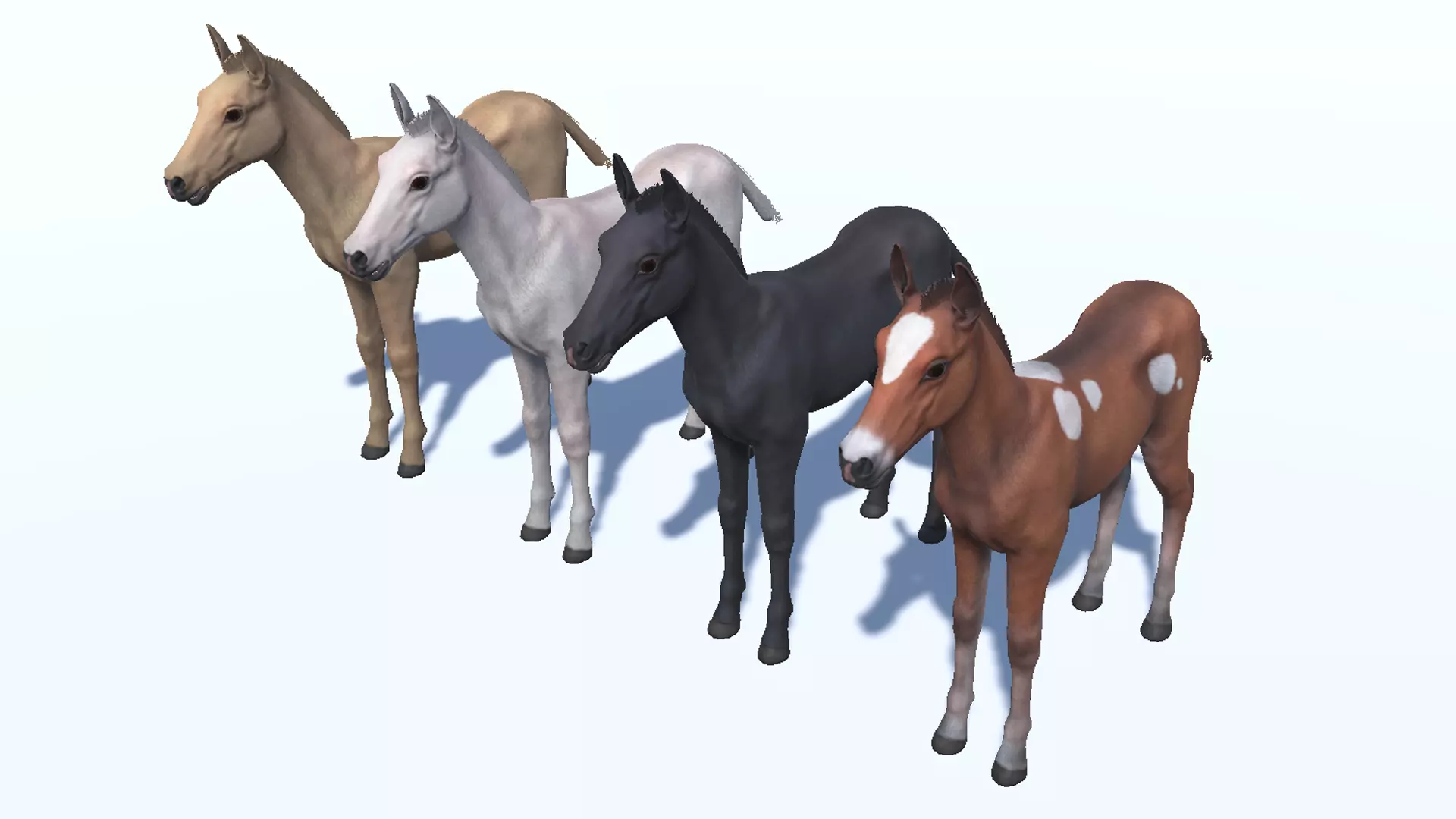 Horse - Foal Low-poly 3D model_8