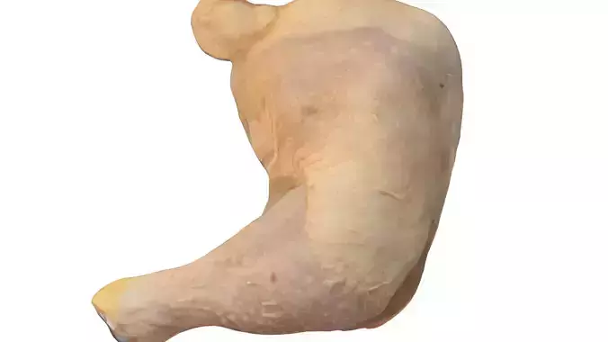 Photoscan Photogrammetry Chicken Leg Thigh Food 4k