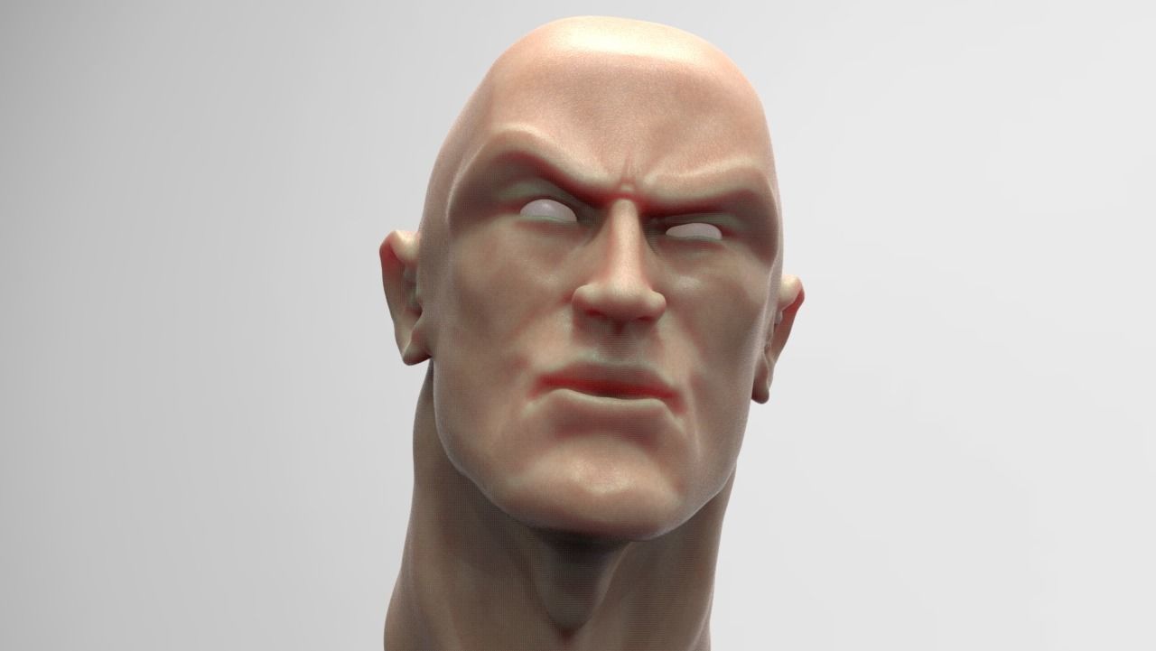 The Rock Bust printable 3D model_1