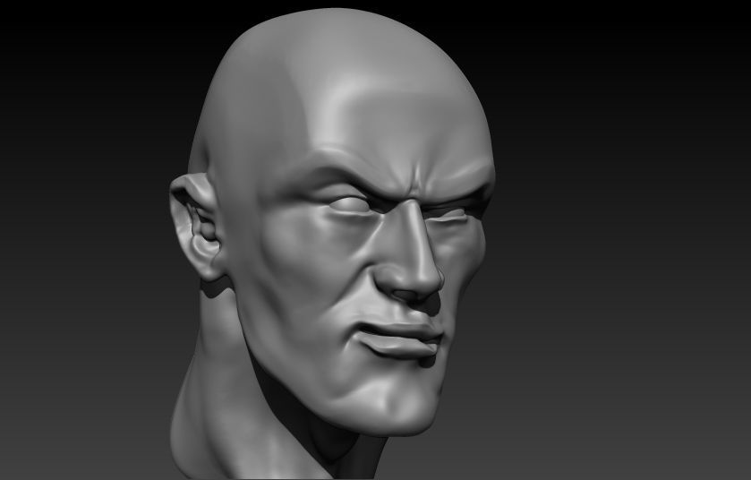 The Rock Bust printable 3D model_4