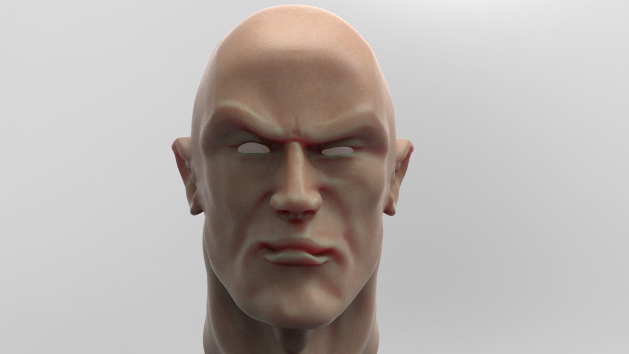 The Rock Bust printable 3D model_12