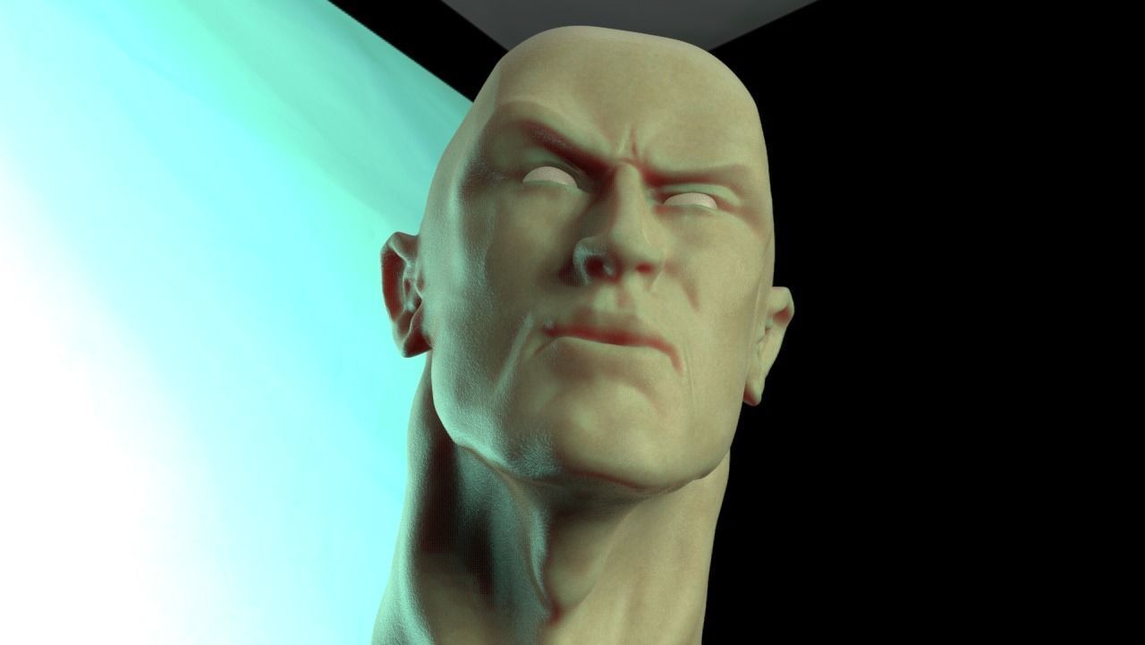 The Rock Bust printable 3D model_16