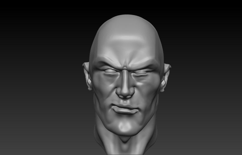 The Rock Bust printable 3D model_5