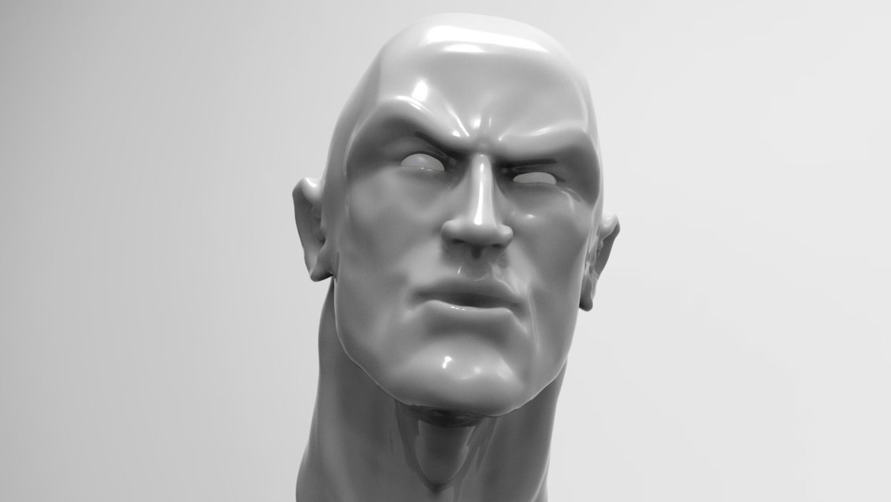 The Rock Bust printable 3D model_3