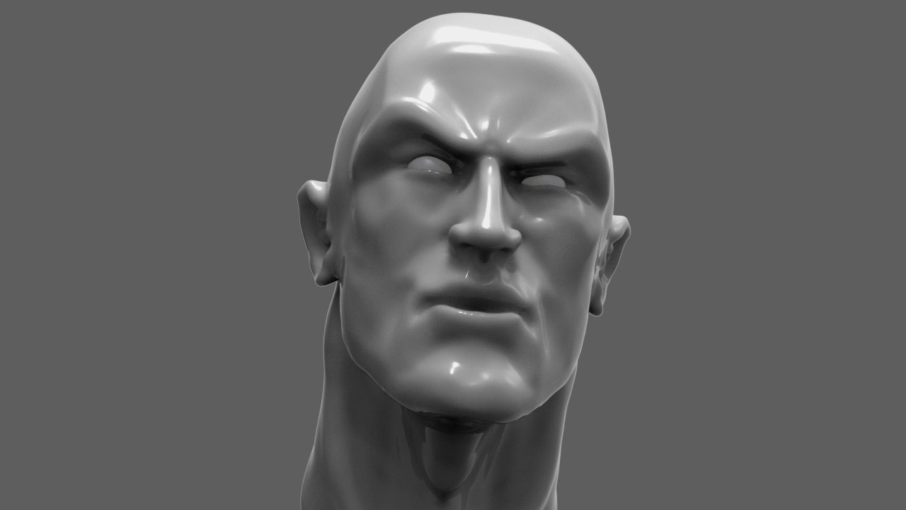 The Rock Bust printable 3D model_6