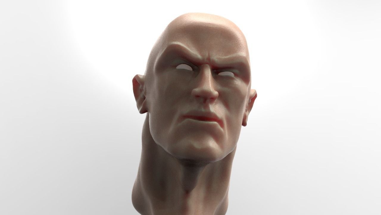 The Rock Bust printable 3D model_9