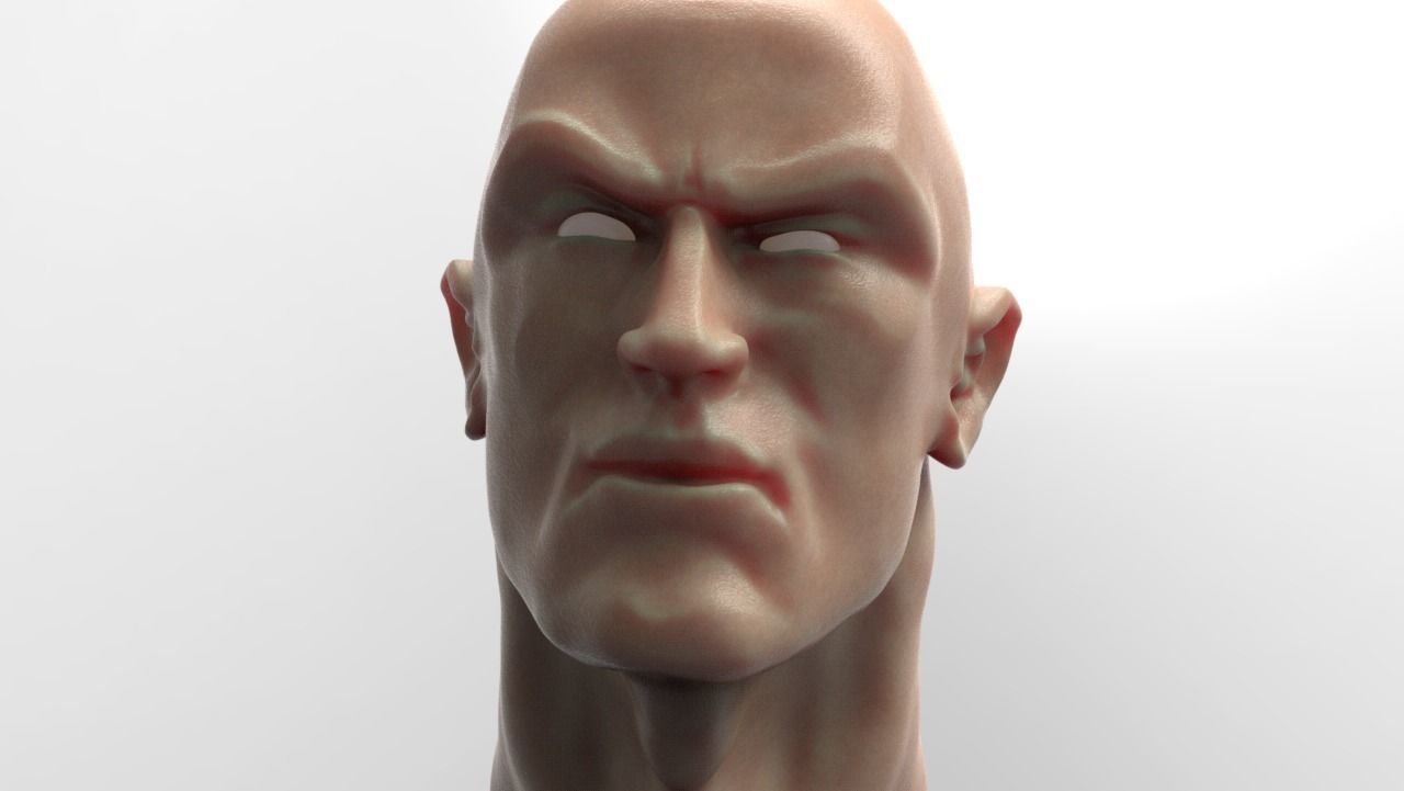 The Rock Bust printable 3D model_13