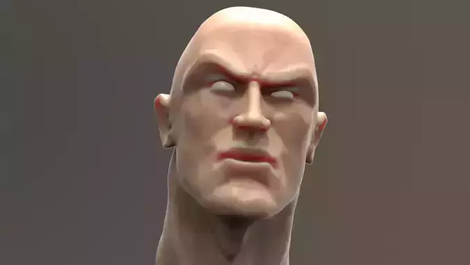 The Rock  Bust printable 3D model