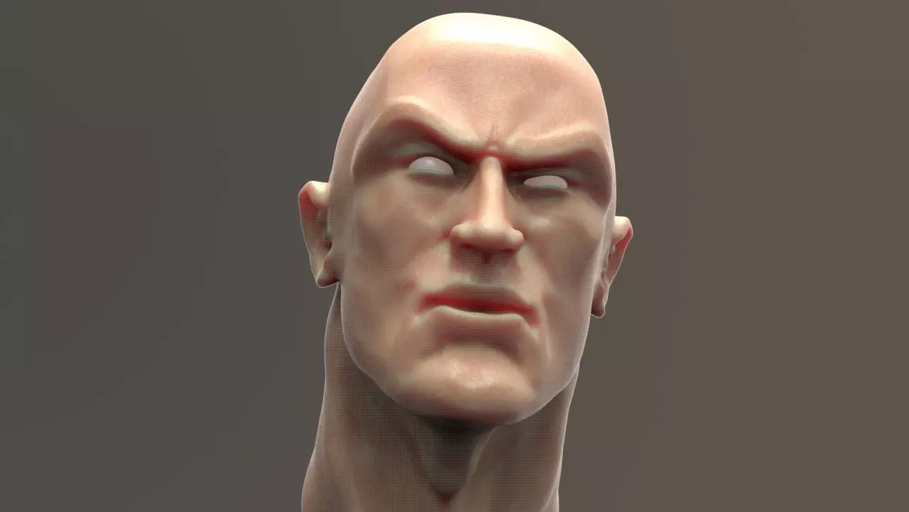 The Rock Bust printable 3D model_0