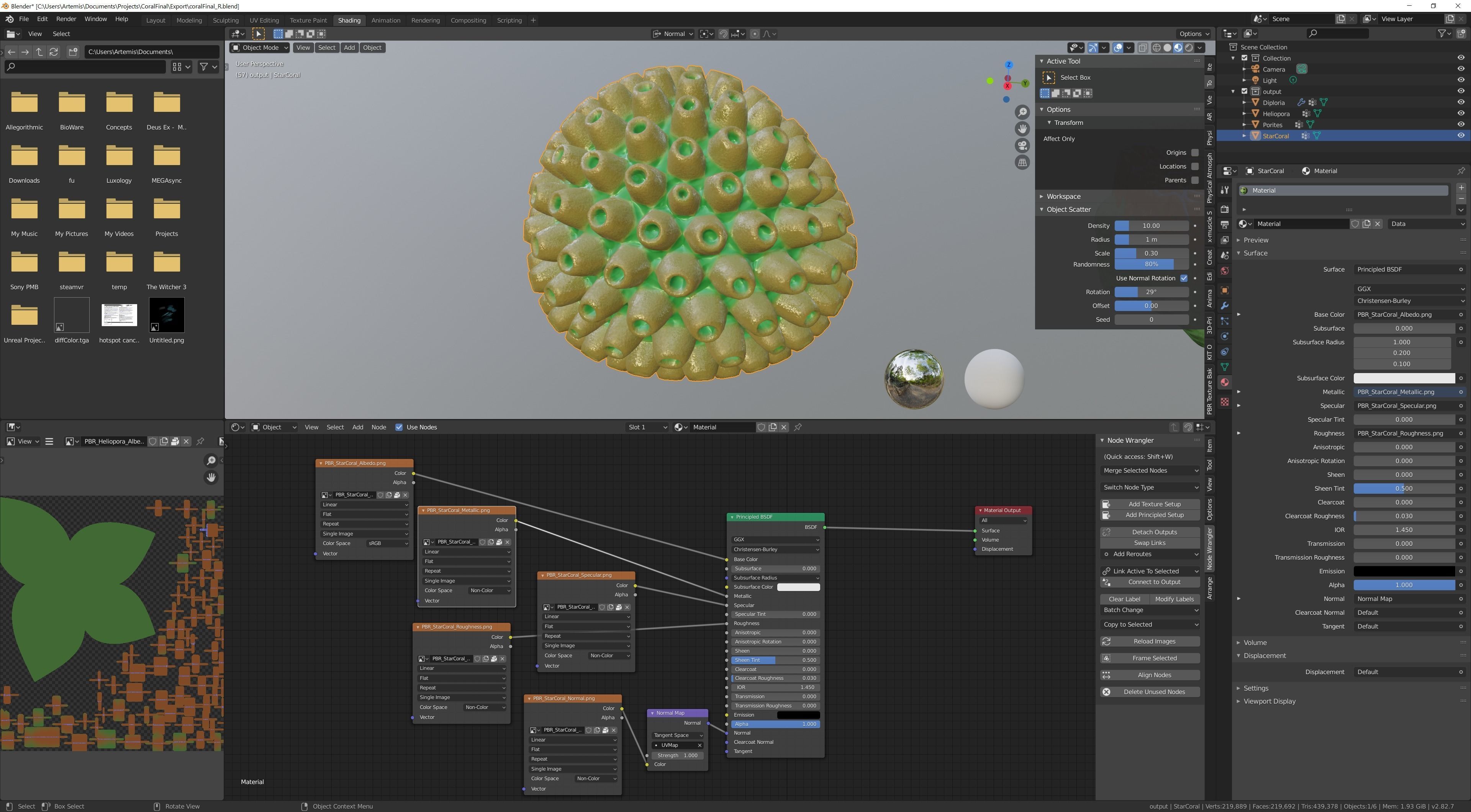 Coral Types 3D model_13