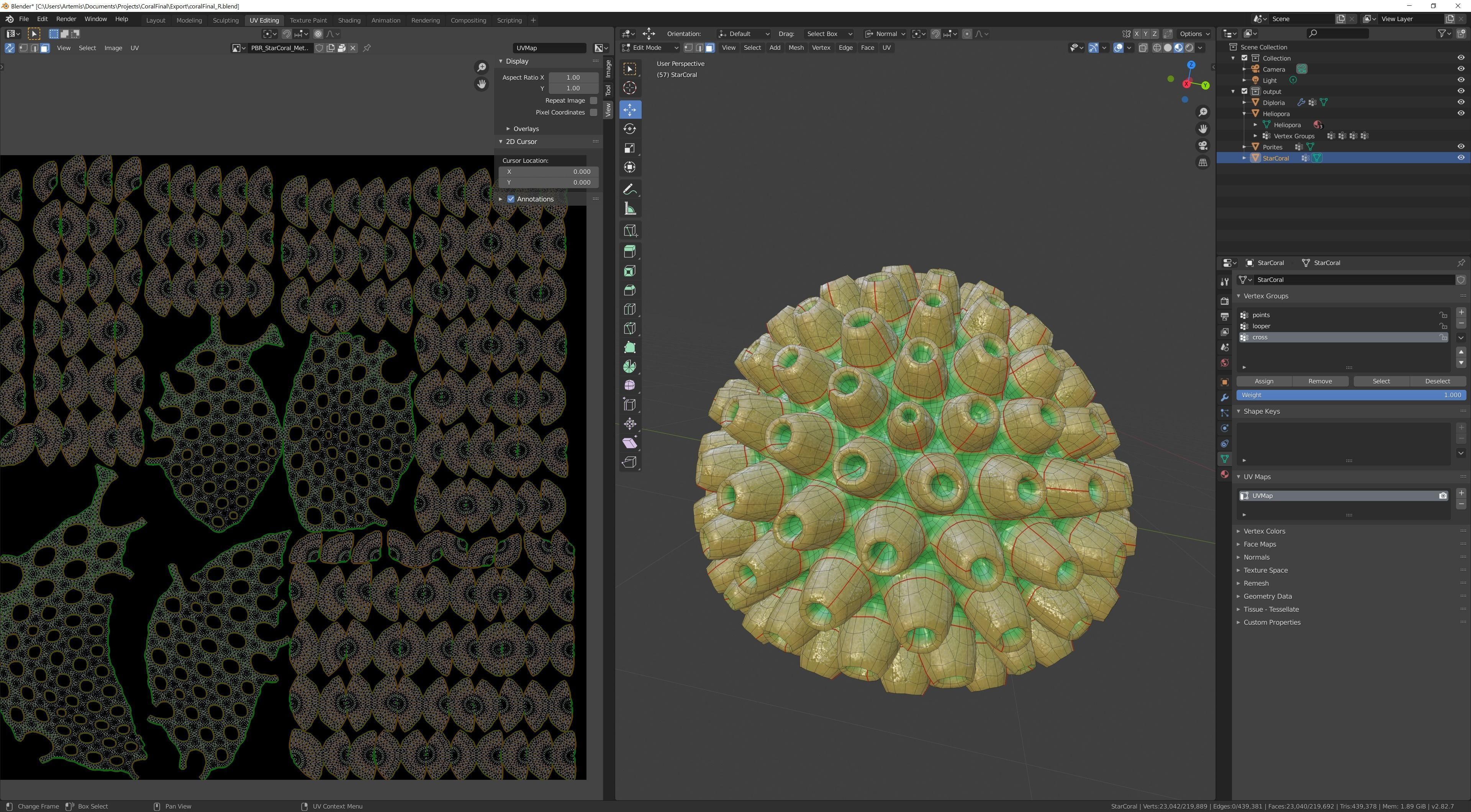 Coral Types 3D model_9