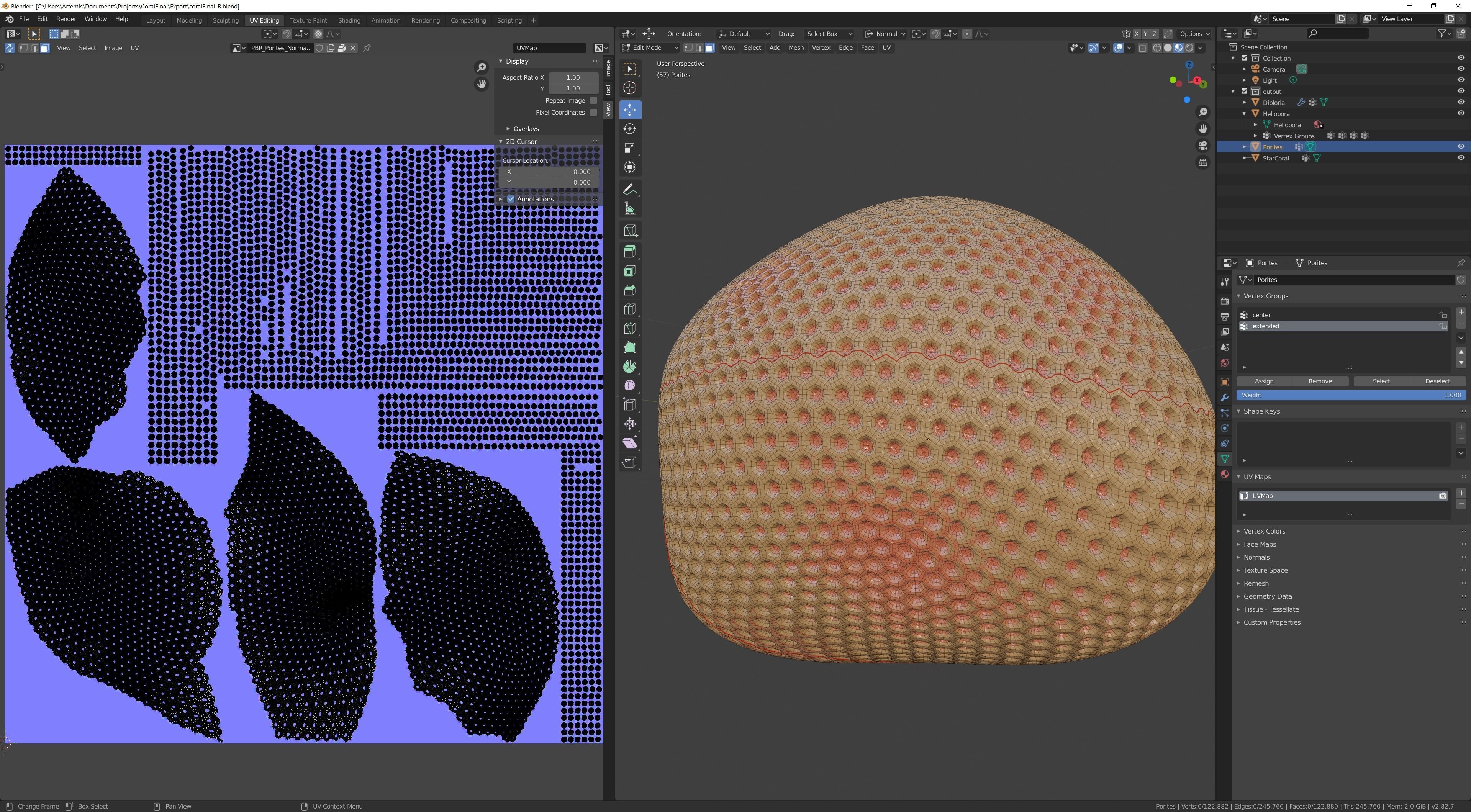 Coral Types 3D model_12