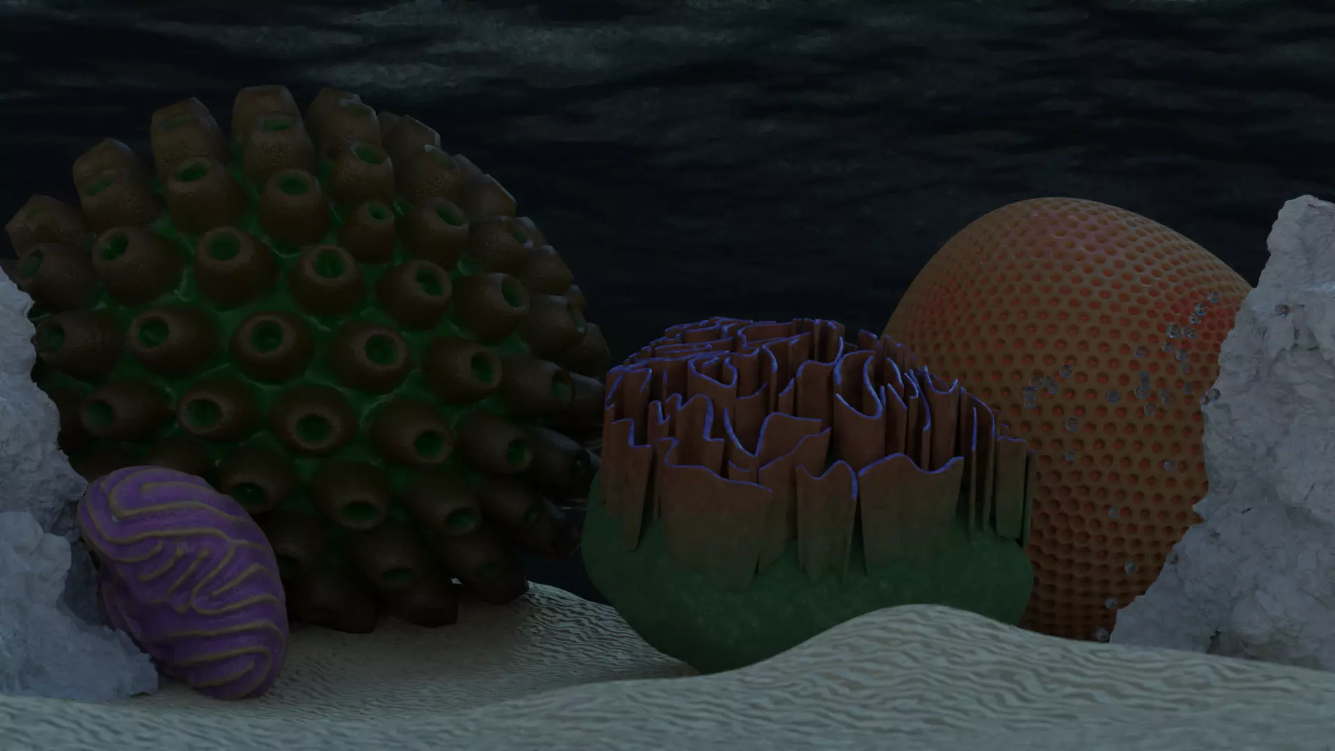 Coral Types 3D model_0