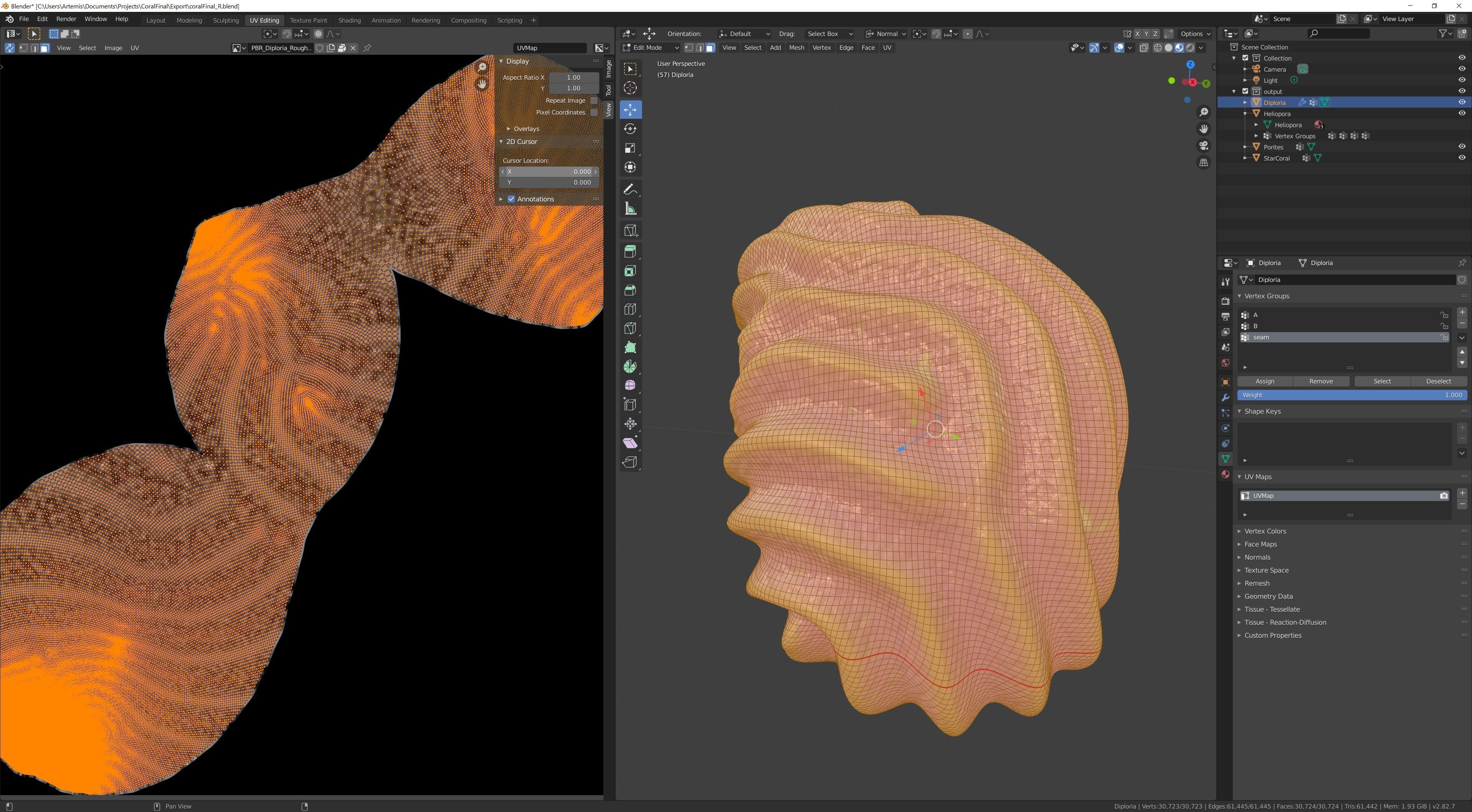 Coral Types 3D model_11