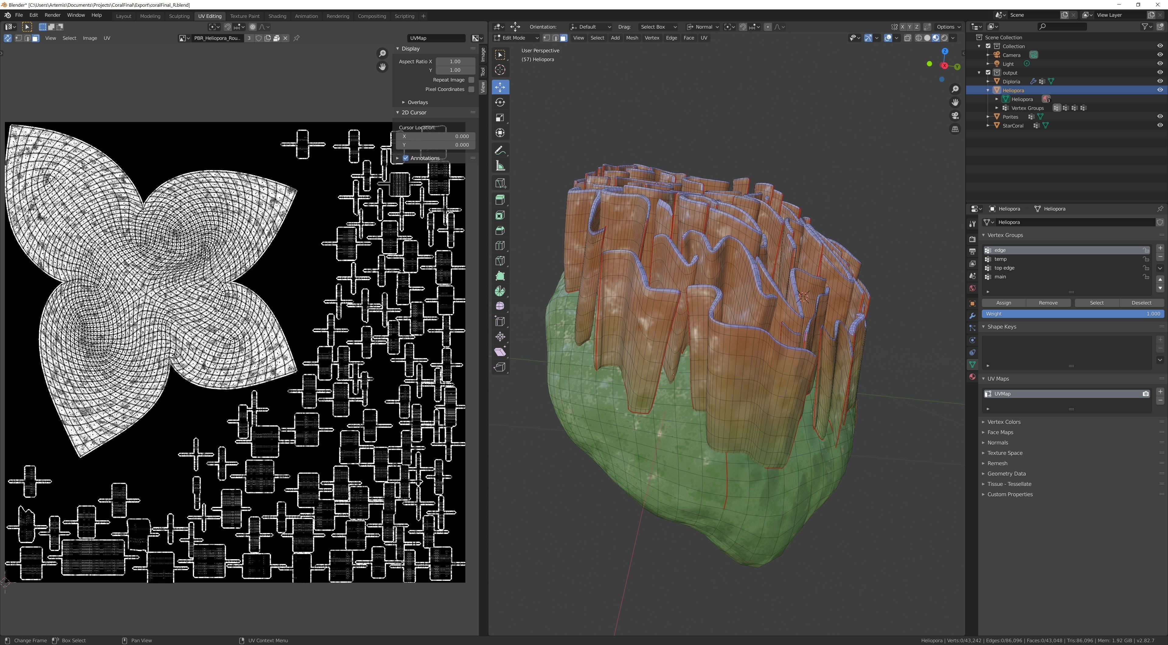 Coral Types 3D model_10