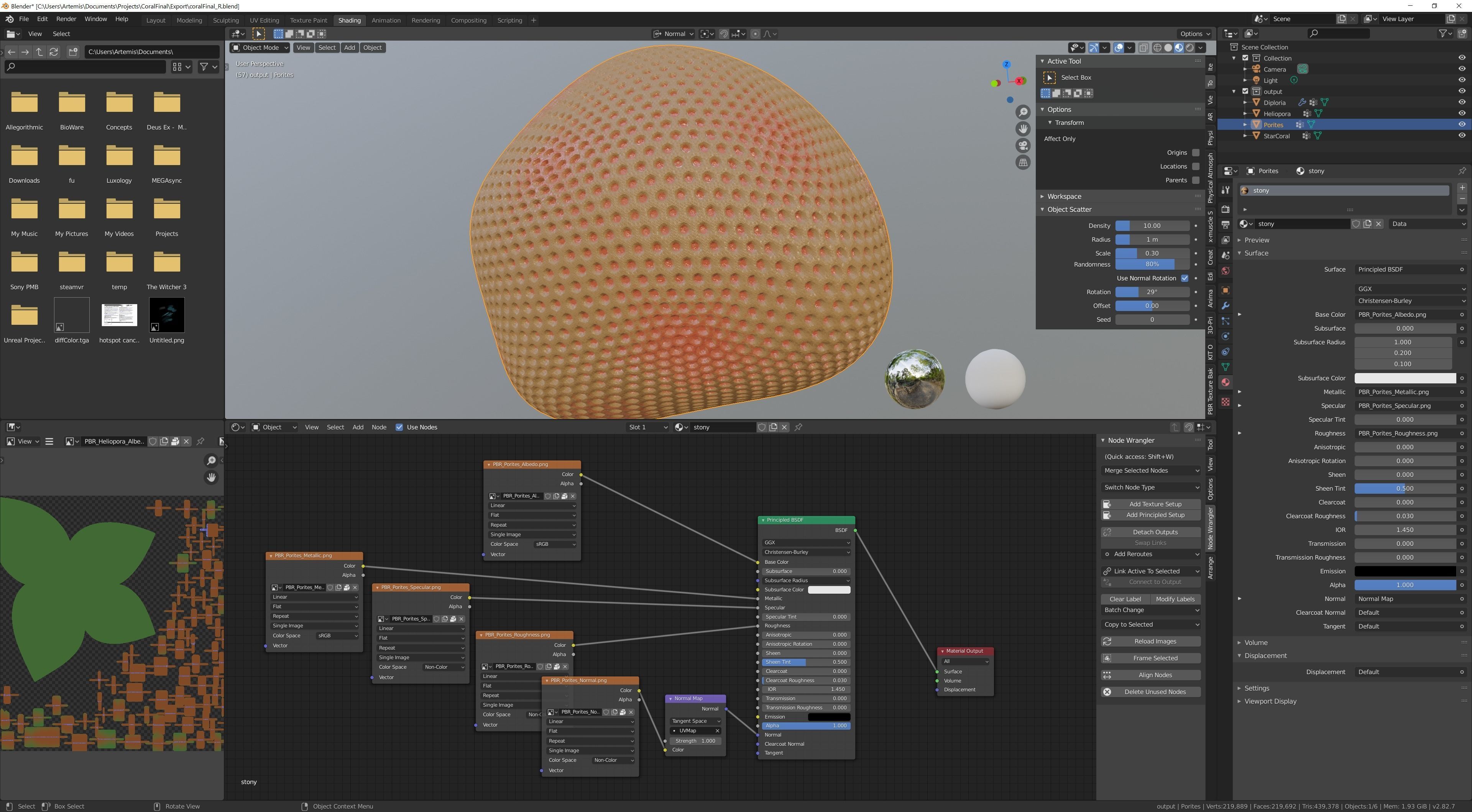 Coral Types 3D model_5