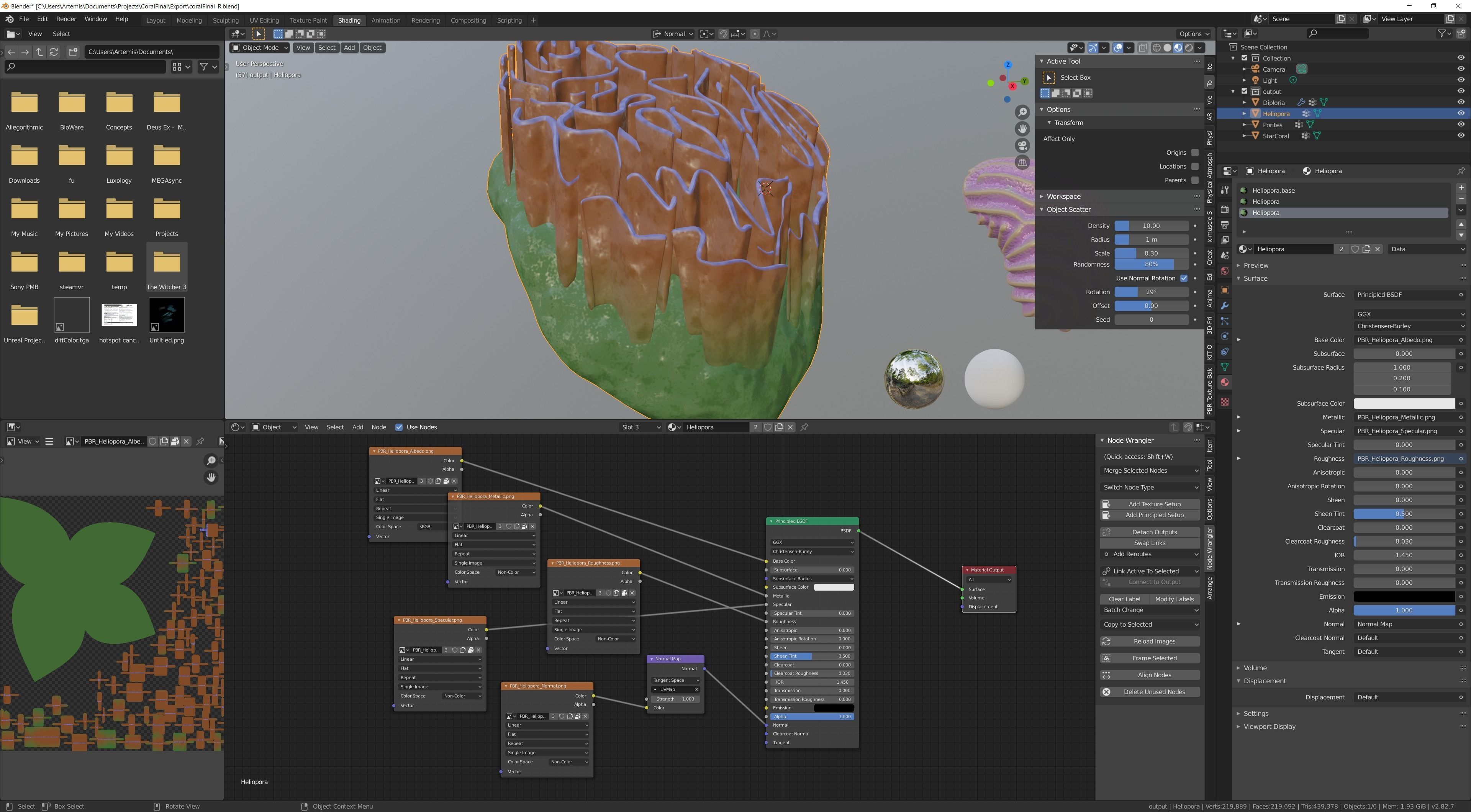 Coral Types 3D model_3