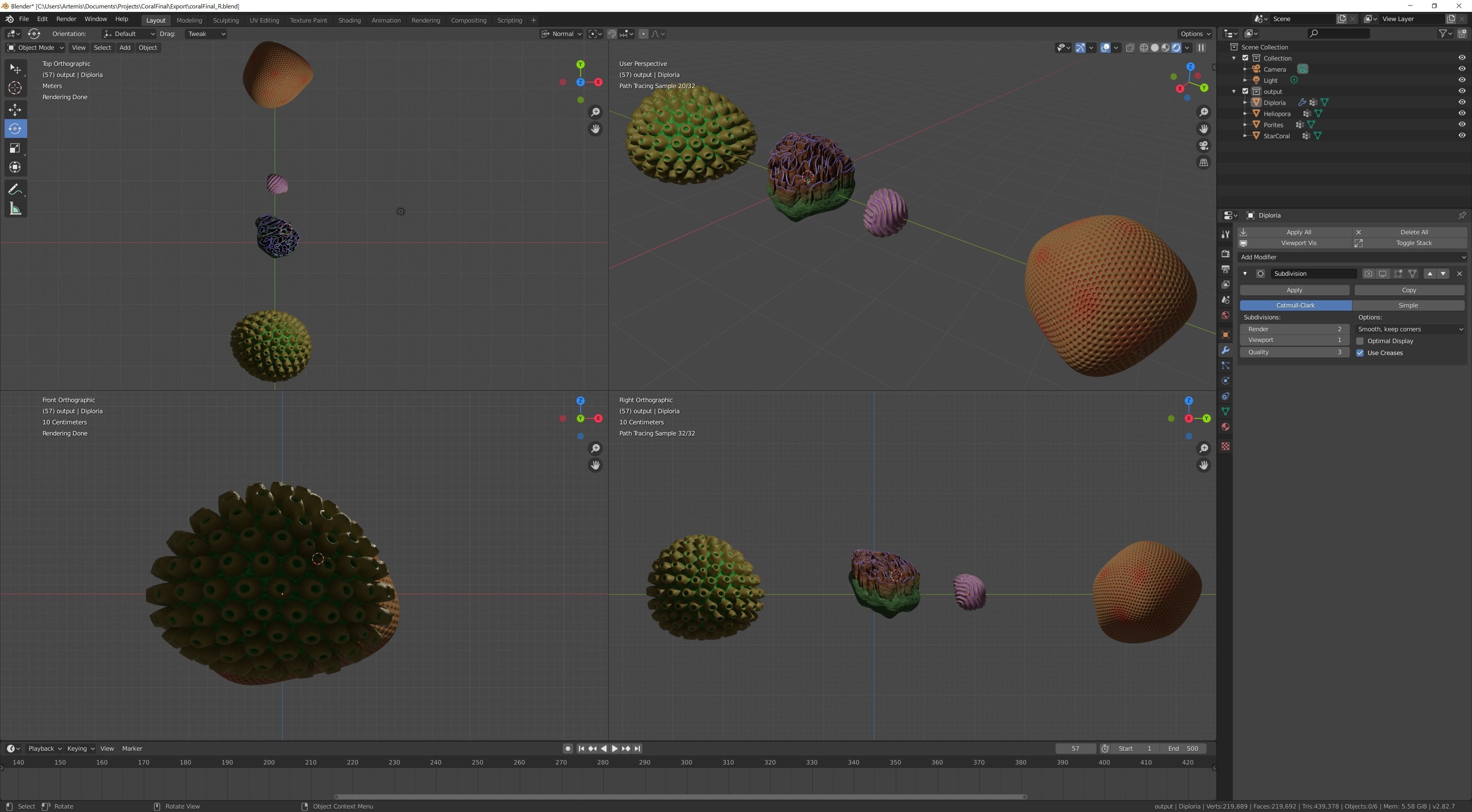 Coral Types 3D model_7