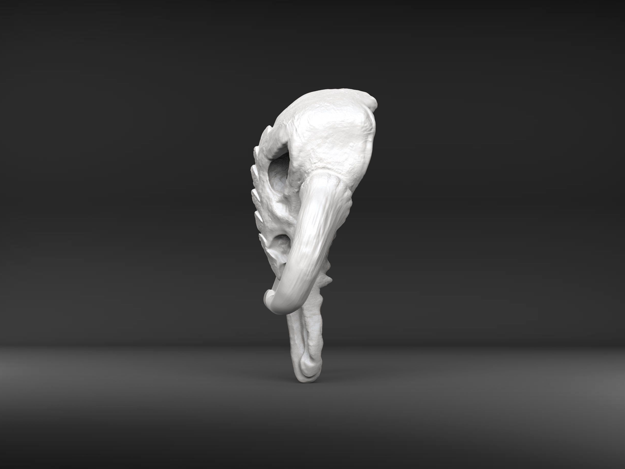 Mythosaur Skull Star Wars Mandalorian 3D print model_5