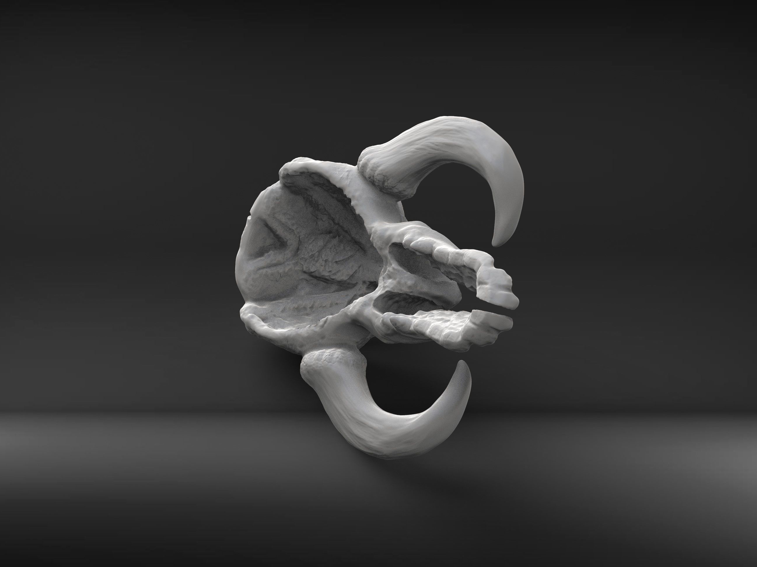 Mythosaur Skull Star Wars Mandalorian 3D print model_3