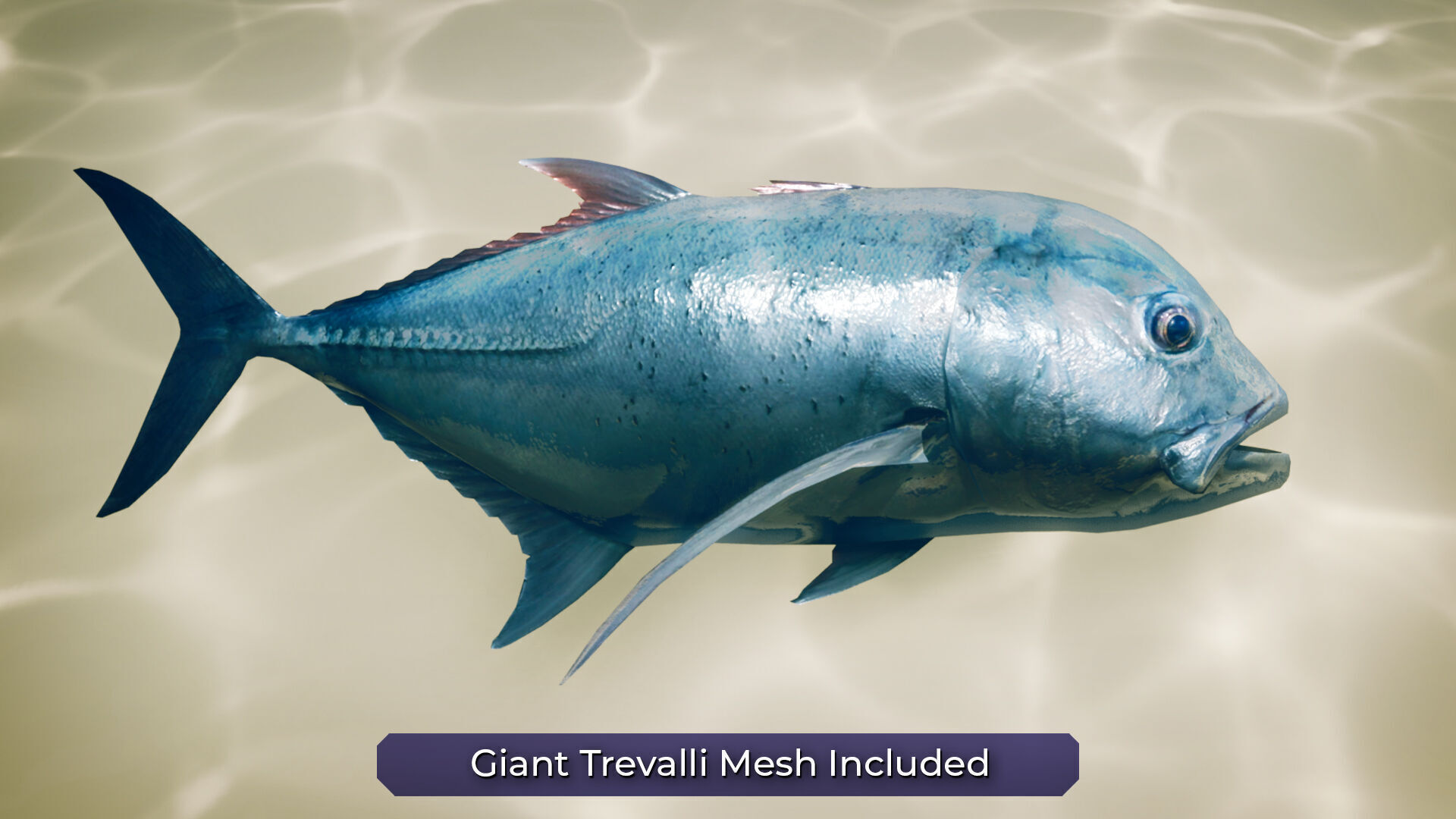 Fish School System V2 - UE4 Niagara AI Low-poly 3D model_13