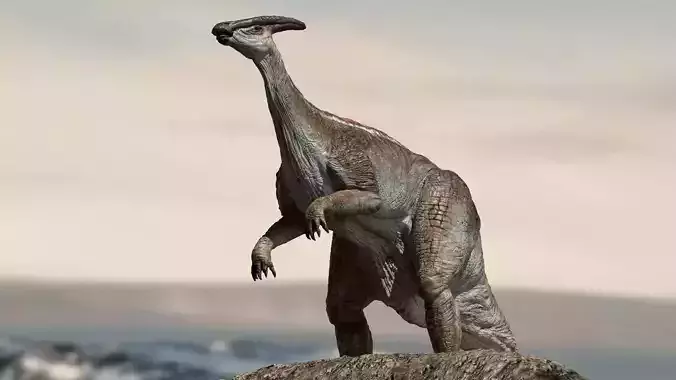 Parasaurolophus 3D Rigged model