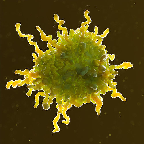 Cancer cell 3D model