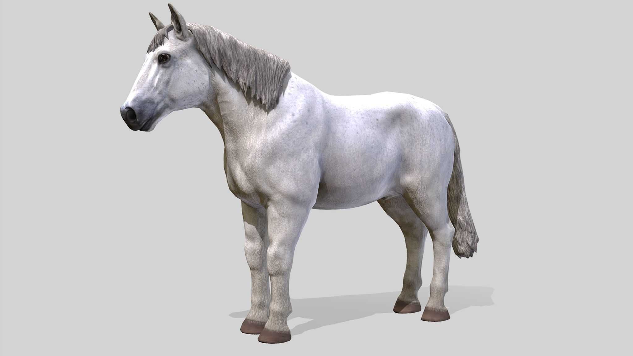 Horse Family Low-poly 3D model_10