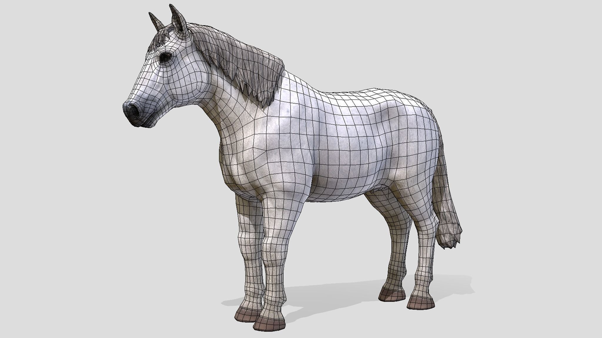 Horse Family Low-poly 3D model_11