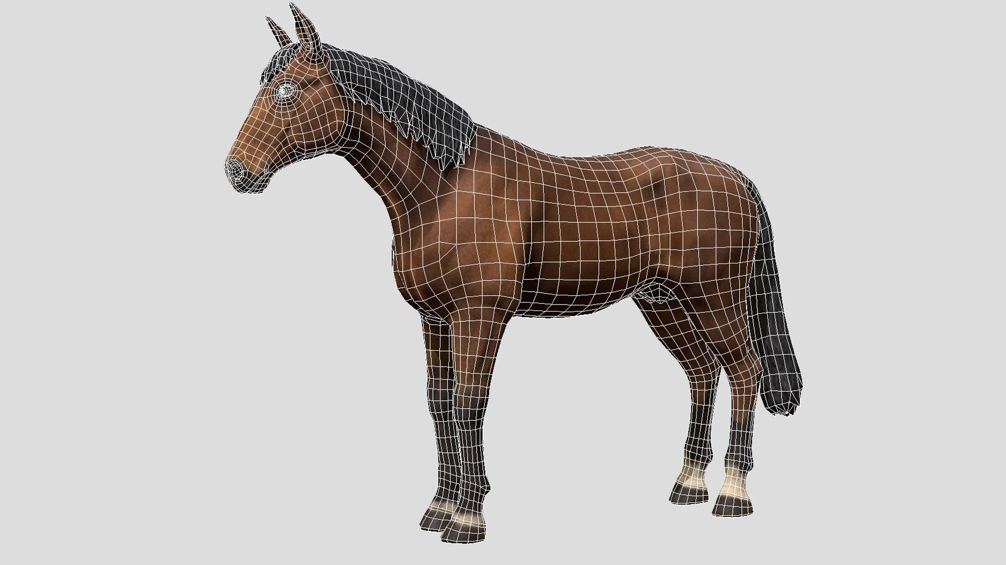 Horse Family Low-poly 3D model_4
