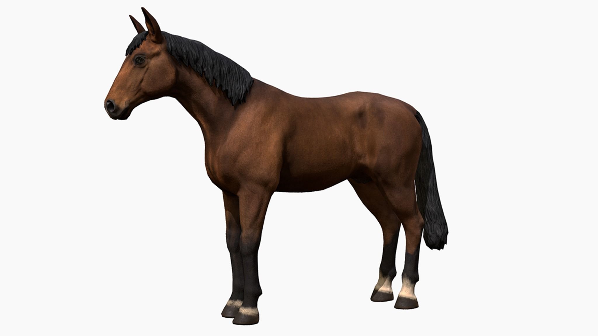 Horse Family Low-poly 3D model_3